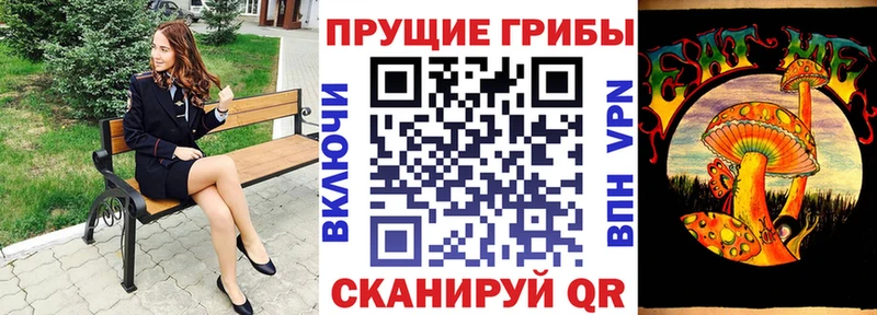 где купить наркотик  Бузулук  Псилоцибиновые грибы мухоморы 